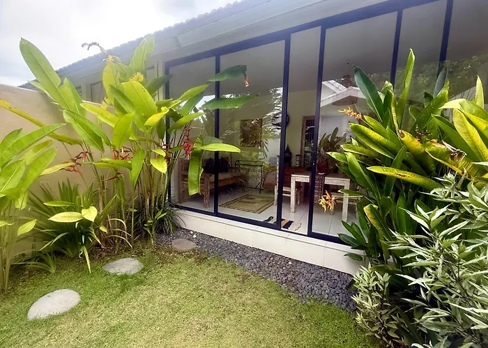 Pura Vida